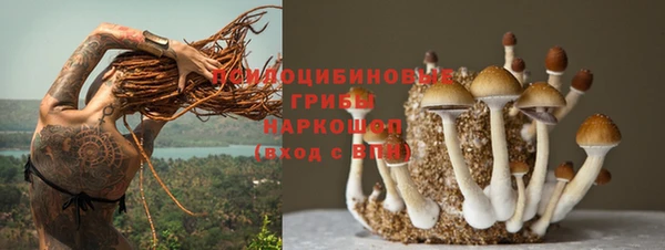 МДПВ Краснотурьинск