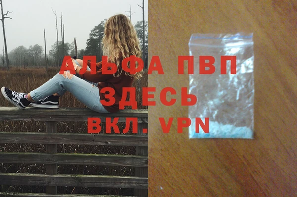 крисы Краснослободск