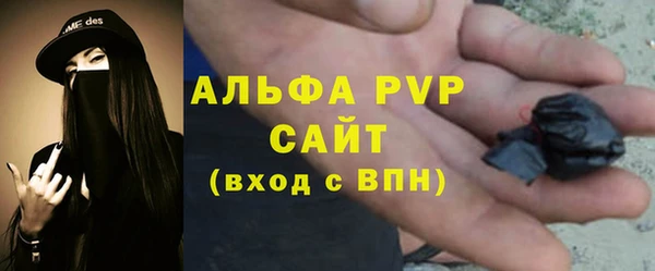 крисы Краснослободск