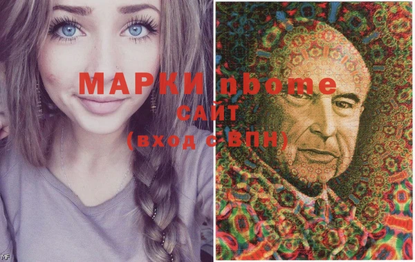 крисы Краснослободск