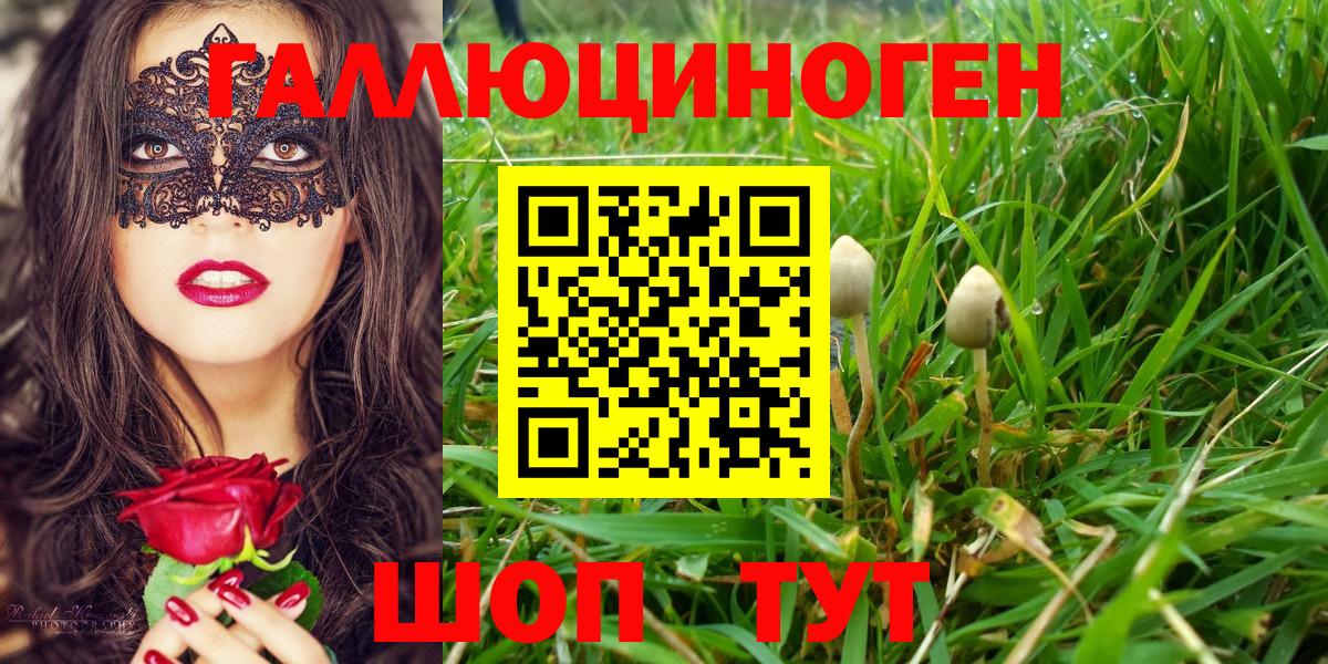 Галлюциногенные грибы прущие грибы Стерлитамак