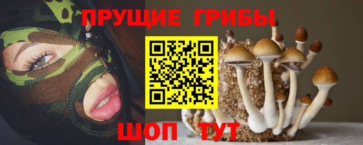 Галлюциногенные грибы мицелий  купить наркотик  Стерлитамак  Вход с VPN  Галлюциногенные грибы MAGIC MUSHROOMS 